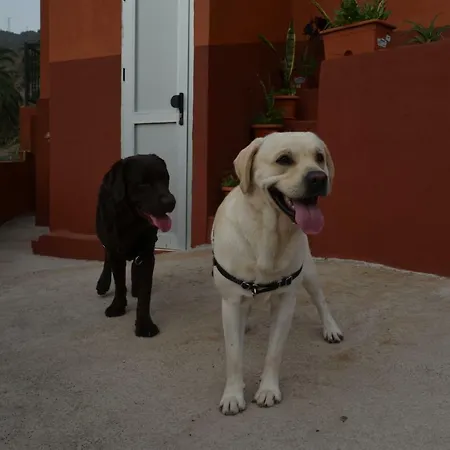 Casa Camilo * Vallehermoso