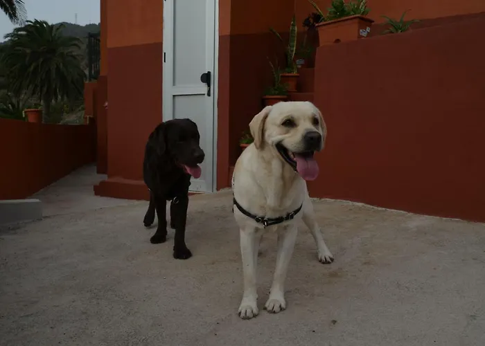 Casa Camilo * Vallehermoso